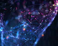 Крипторынок воодушевился на рост