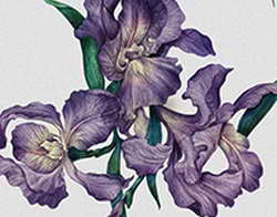 К чему снится расставание с девушкой?