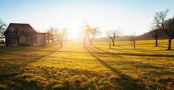 «Задал вопрос о финансировании. Ответ был: «Затяните пояса и терпите». Экс-главный тренер «Водника» о встрече с руководством Архангельской области