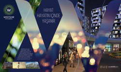 Американцы реже меняют смартфоны: средний срок использования вырос до 29 месяцев